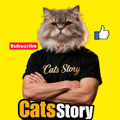 Cats_Story_Official 