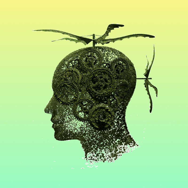 科学疯子 Official