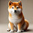 @ShibaShibainu