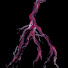 MnEtl9lIoMc-channel-avatar-Wences Lamas