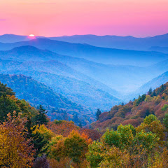 Homestead Appalachia 