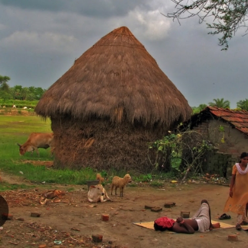 village_life