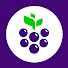 aAW5O1RC_xY-channel-avatar-Cornerstone Fellowship Napa