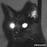 aaY2BJuePhM-channel-avatar-mmv