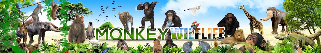 Monkey Wildlife Avatar de canal de YouTube