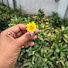 AK6Sh9vZPLk-channel-avatar-petal_diaries_19