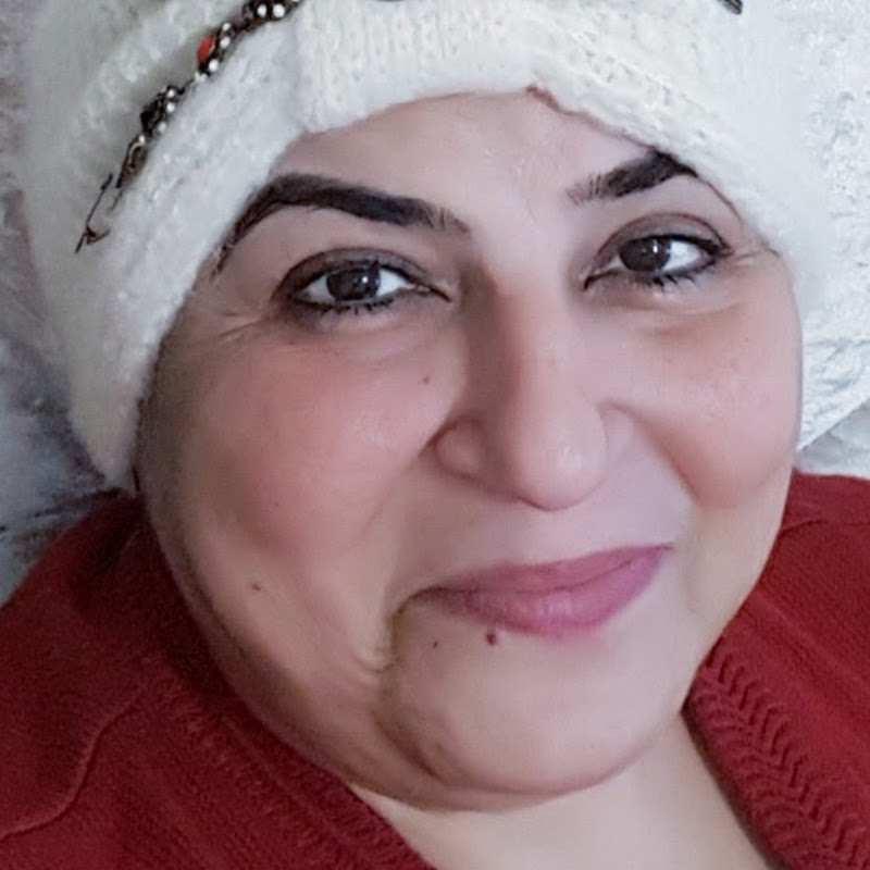 Nayaab Zamaney Vlogs 