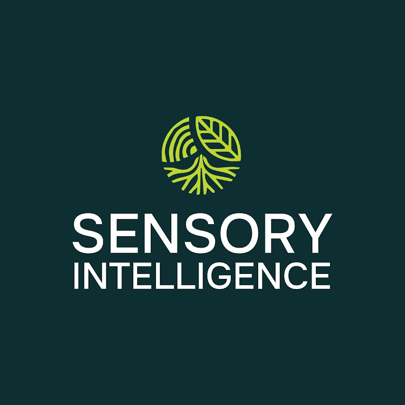 Sensory Intelligence Consulting