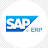 SAP SD & BRIM Training