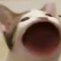 nldXVmimzDM-channel-avatar-Litle_boy