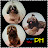 Shih Tzu PH