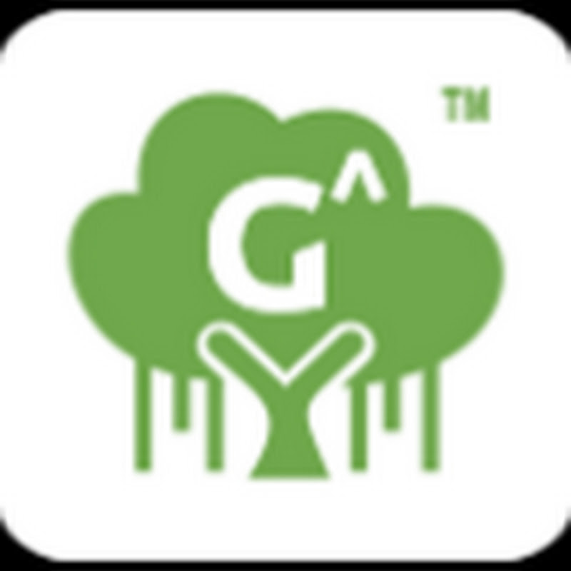 gvsrwealth