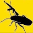 Gx71rf99HrQ-channel-avatar-Macho Taco