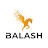 BALASH TECH