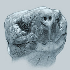 Draw Sessions Avatar