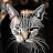@cappysdad383's avatar