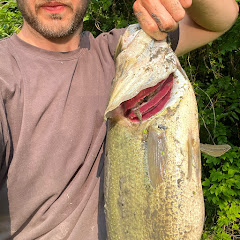 Western PA Fishing