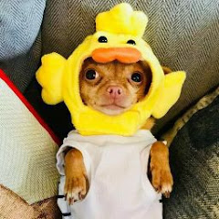 呱吉#アイコン画像