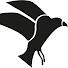 TqCC-zWQfdI-channel-avatar-Mr Segul 
