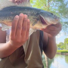 901bassin