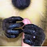 DoJSMrM8Pxw-channel-avatar-ASMR Monkey