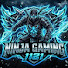 2B8FIgl42A8-channel-avatar-NINJA GAMING 1121