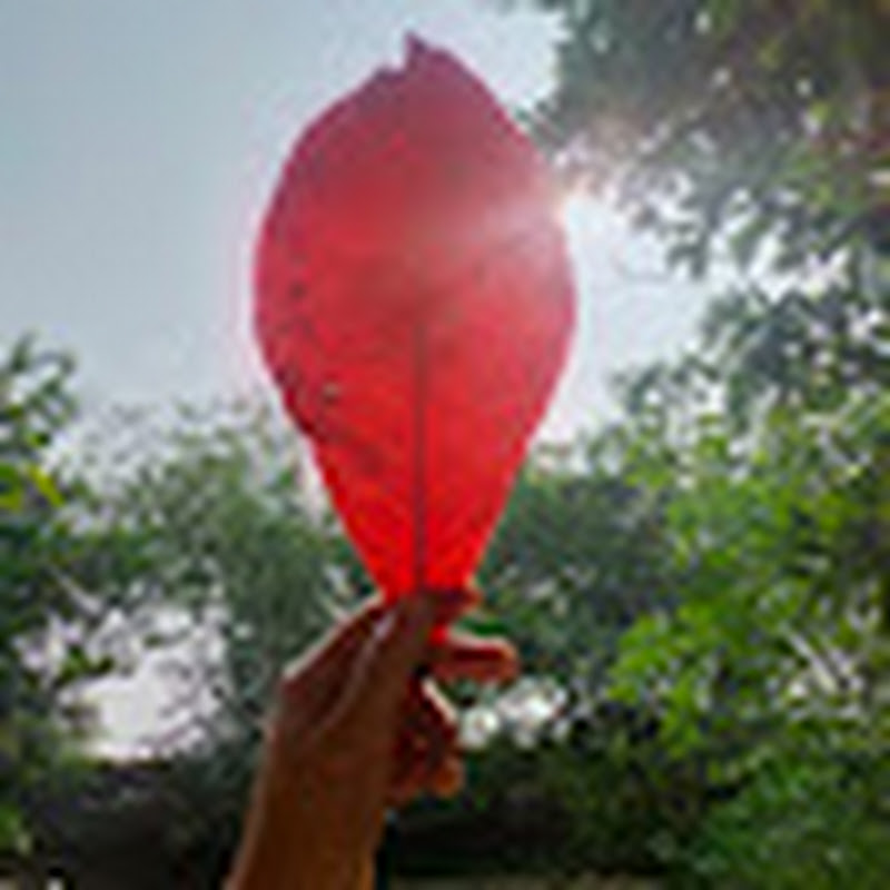 Hire @Shabnammansuri786 — Filmmaking & Cinematography (Artistic) YouTube creator for sponsorships