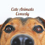 Cute Animals Comedy logo