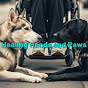 Healing Hands and Paws logo