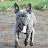 @jasonmoorcroft-c5y Avatar