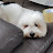 @luv_ma_dawg_hehe