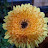 Avatar photo