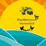 Blackberryrock Homestead