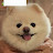 @자몽-k4f8j
