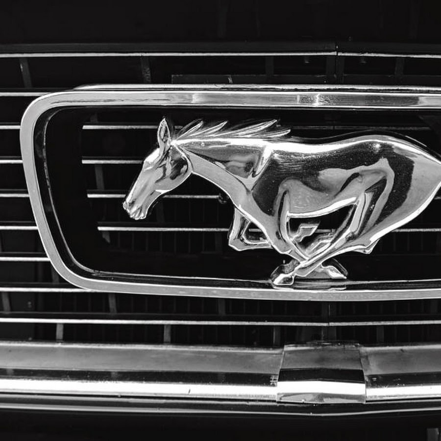 Буквы мустанг. Марка Mustang. Форд Мустанг эмблема. Значок Форд Мондео 3 Мустанг. Форд Мустанг шильдик.