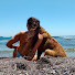 reXdhz76Q98-channel-avatar-REYES - STAY WILD 🔅