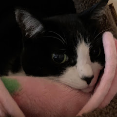 ちるちる0925アイコン画像