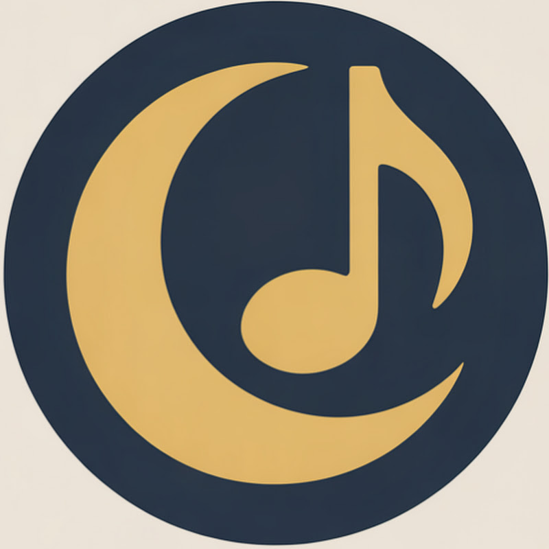 Beautiful Orchestra Vibes