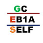 US Green Card EB1A (Self-Petition) logo