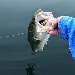 DaoVang Fishing