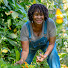 7E2rtKqIrxw-channel-avatar-Redsoil Gardener