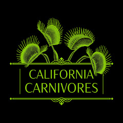 California_Carnivores net worth