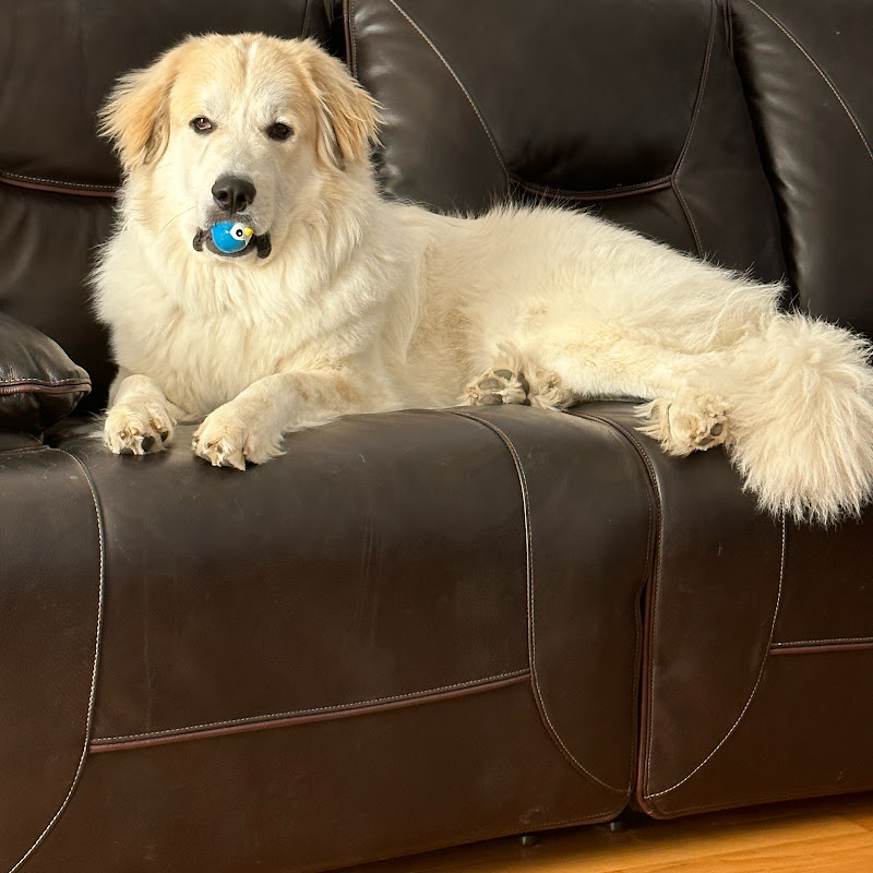 CumbumGudalur Seemati