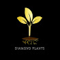 Diamond Plants