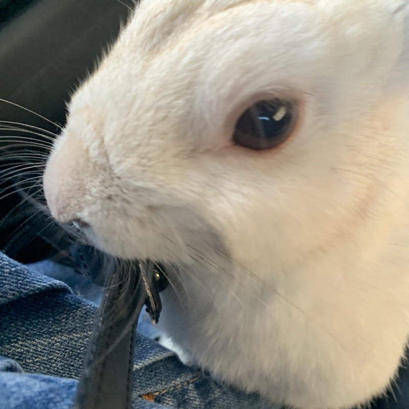 みそ(公認会計士受験生)