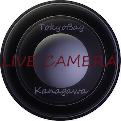 東京湾ライブカメラ神奈川