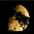 @moonlight___3986