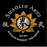 24qwxJHuJOU-channel-avatar-Shaolin Arts Kung Fu and Tai Chi