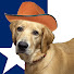 bKrOcWlMyX0-channel-avatar-Zachdogg
