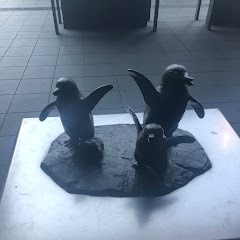 いそがわてつやアイコン画像